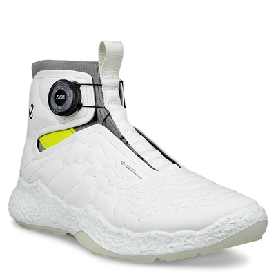 Ботинки ECCO M GOLF BIOM H5