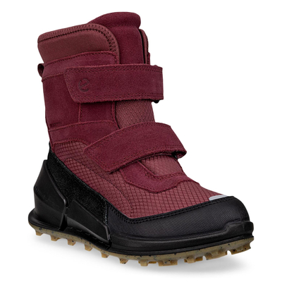 Ботинки ECCO BIOM K2
