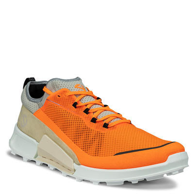 Кроссовки ECCO BIOM 2.1 X COUNTRY M