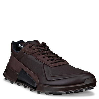Кроссовки ECCO BIOM 2.1 X MOUNTAIN M