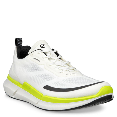Кроссовки ECCO BIOM 2.2 M