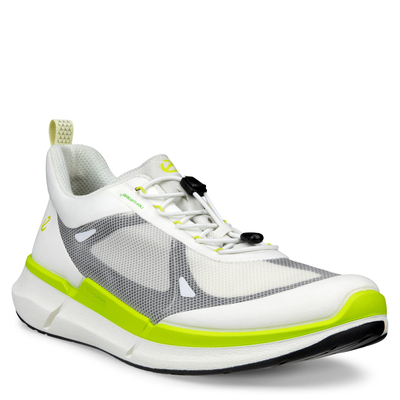 Кроссовки ECCO BIOM 2.2 M
