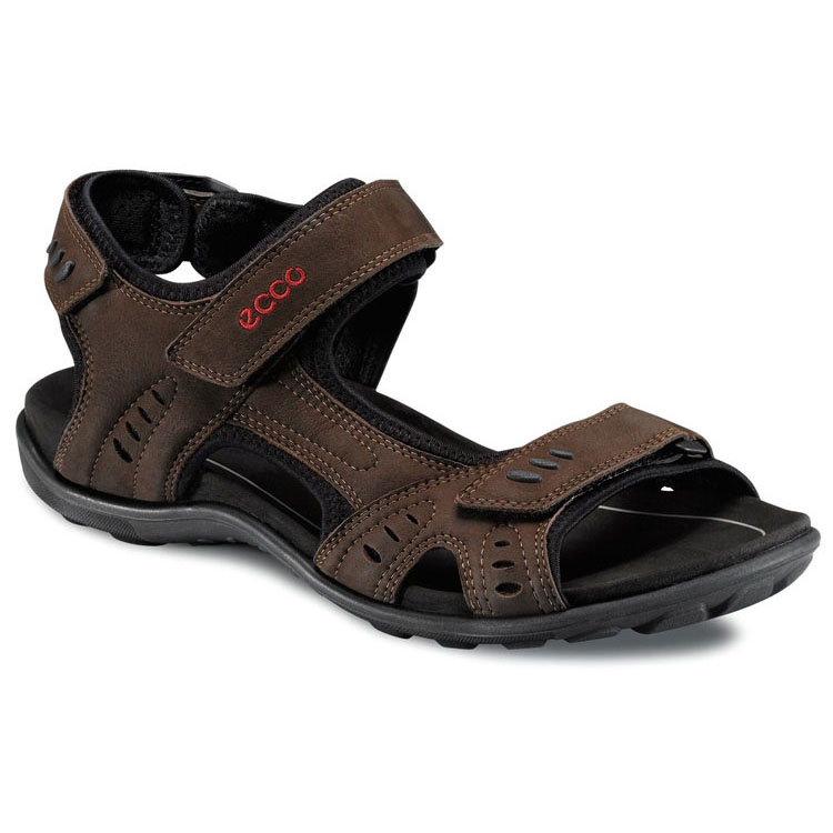 Ecco all terrain best sale