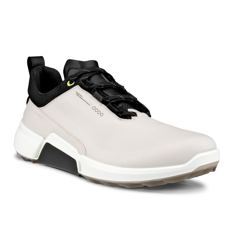 Кроссовки M GOLF BIOM H4 108284/50675