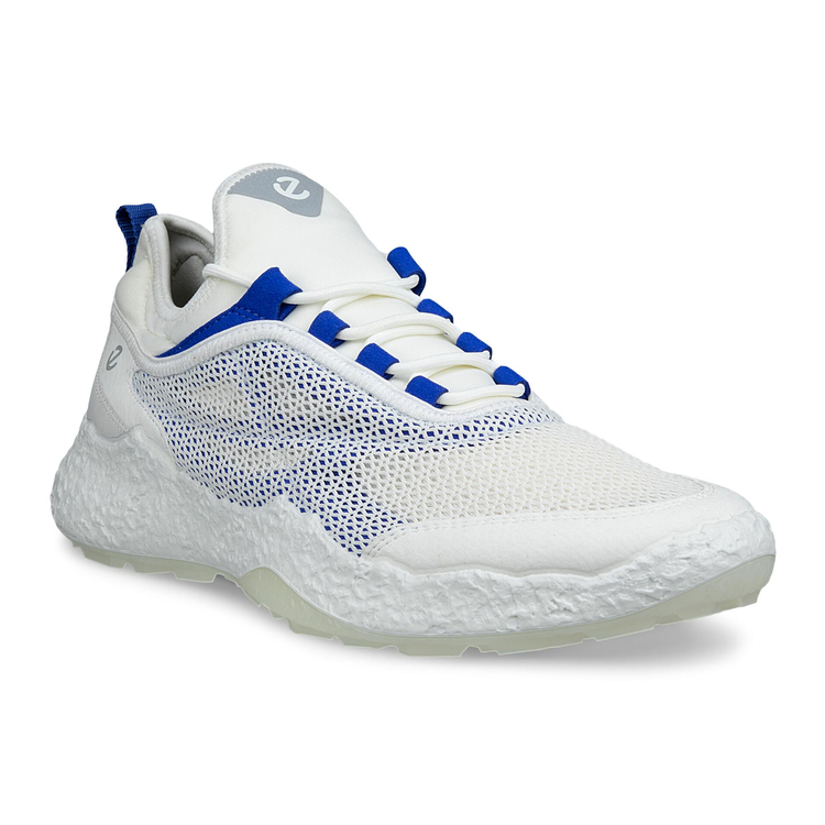 Кроссовки M GOLF BIOM H5 138004/61109