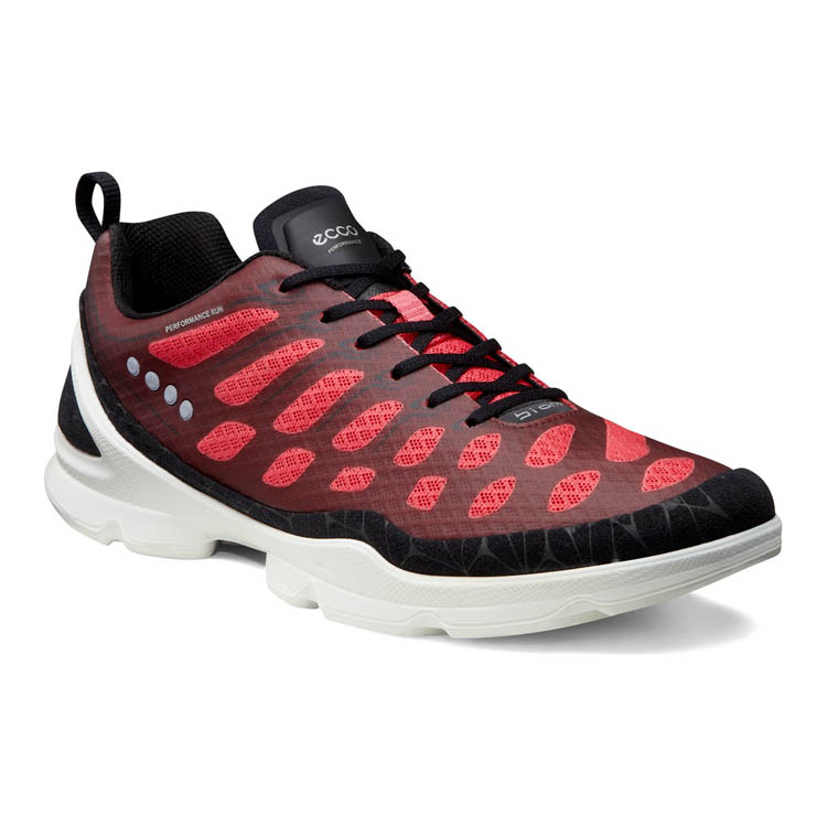 Ecco biom evo racer best sale